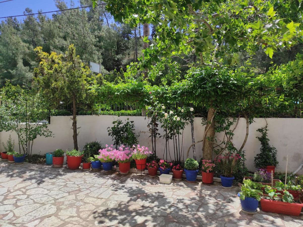 Apartament Casa Stella Agia Triada  Zewnętrze zdjęcie